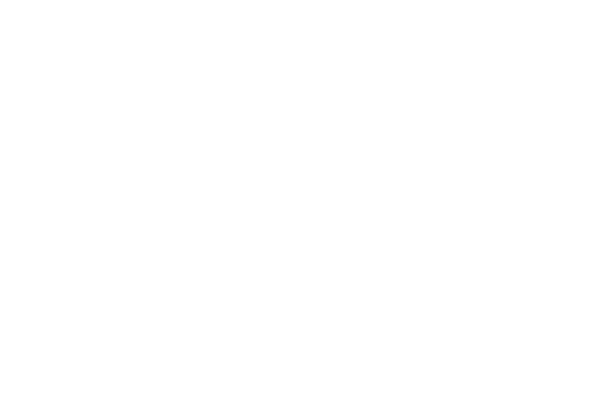 Chicken Pastilla
