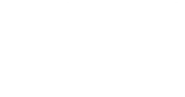 Falafel salad