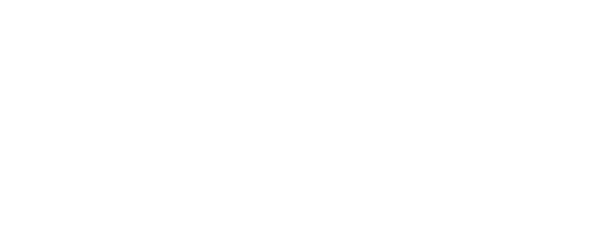 Salade falafel