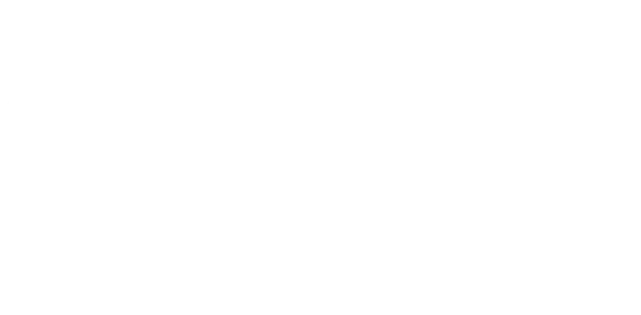 Hummus Traditional logo