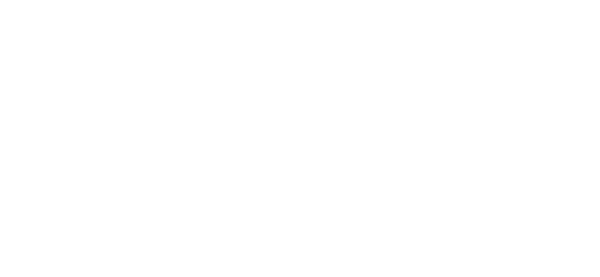 Galettes de Saumon