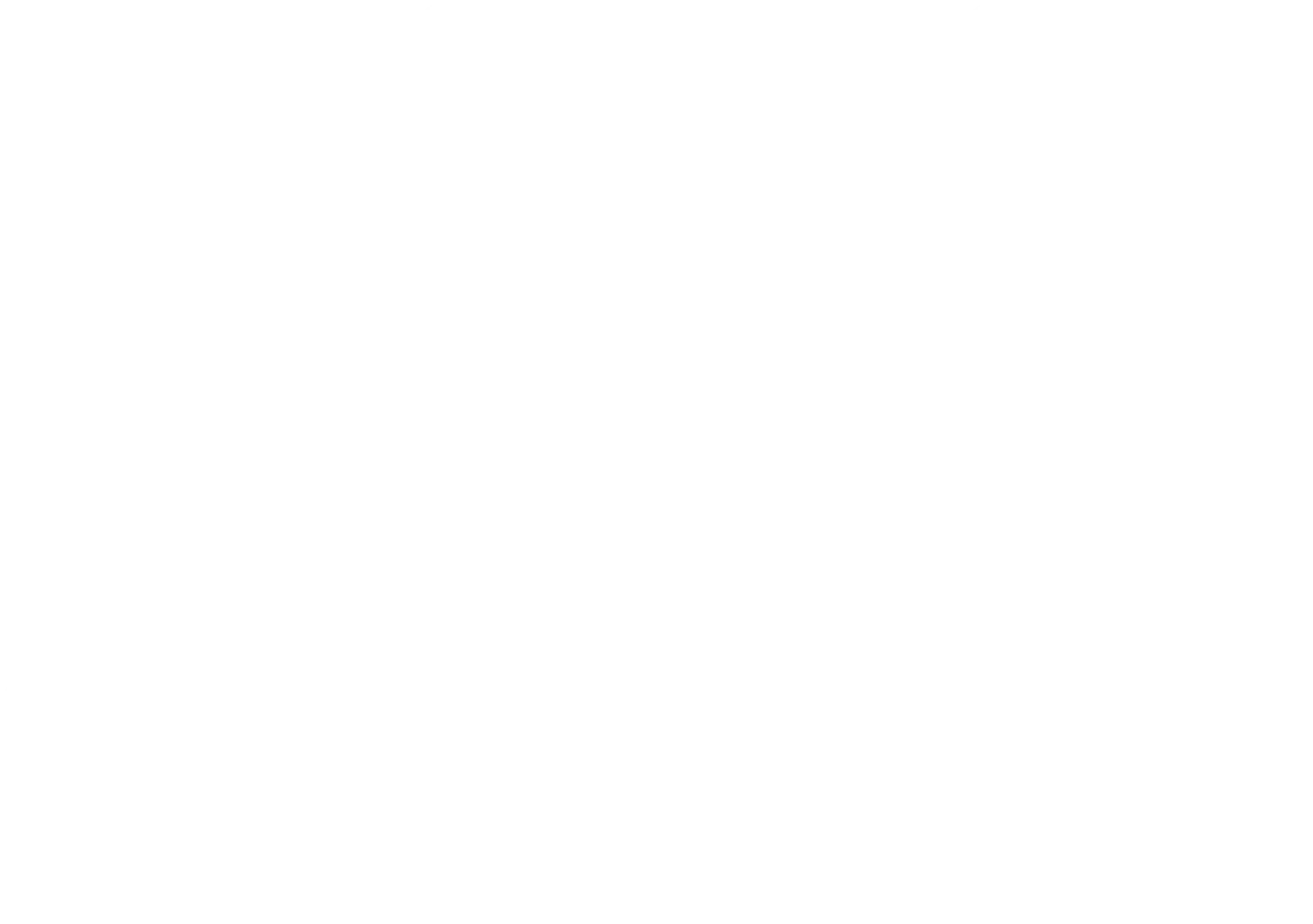 شيش طاووك logo